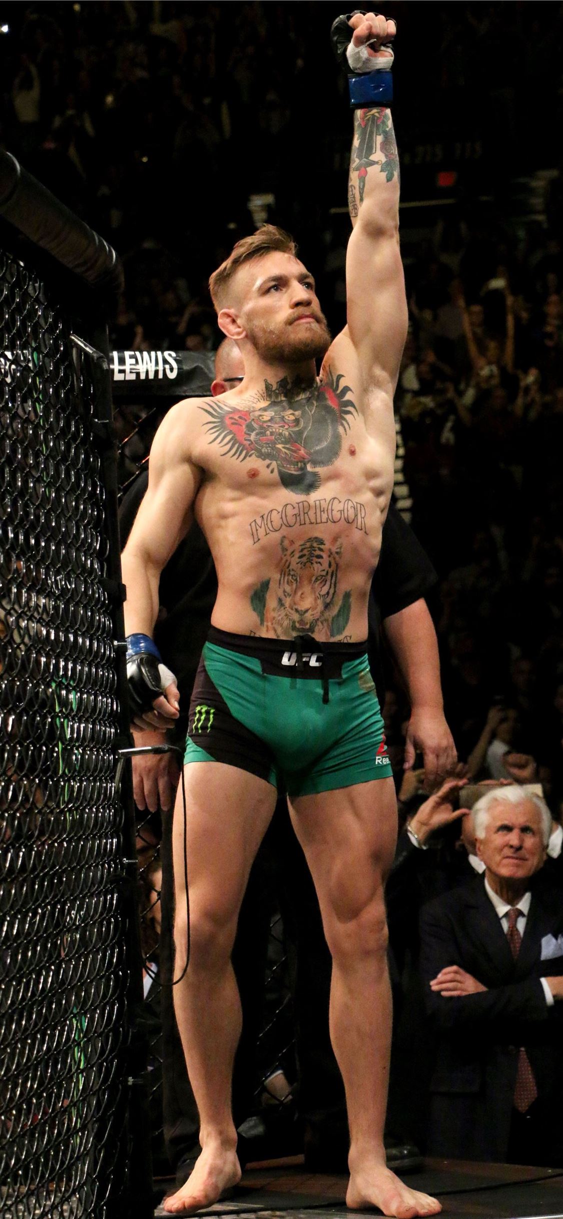 Detail Conor Mcgregor Background Nomer 29