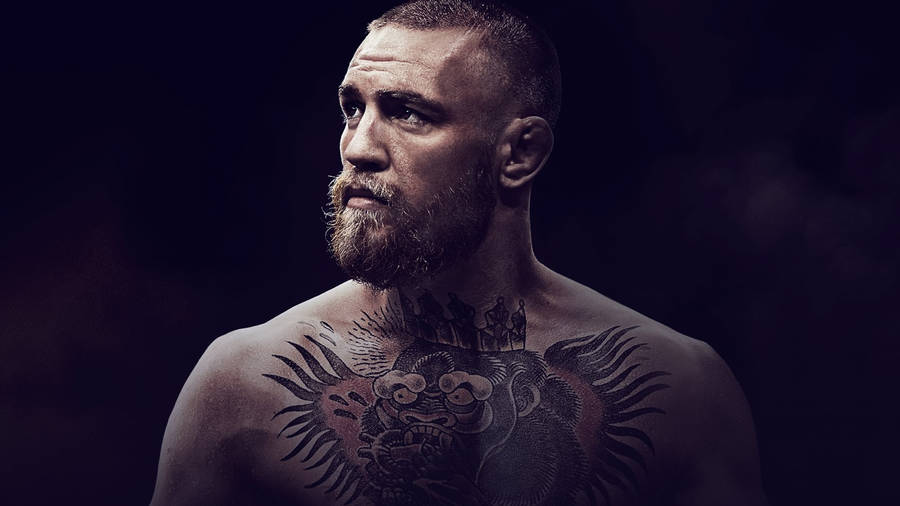 Detail Conor Mcgregor Background Nomer 35