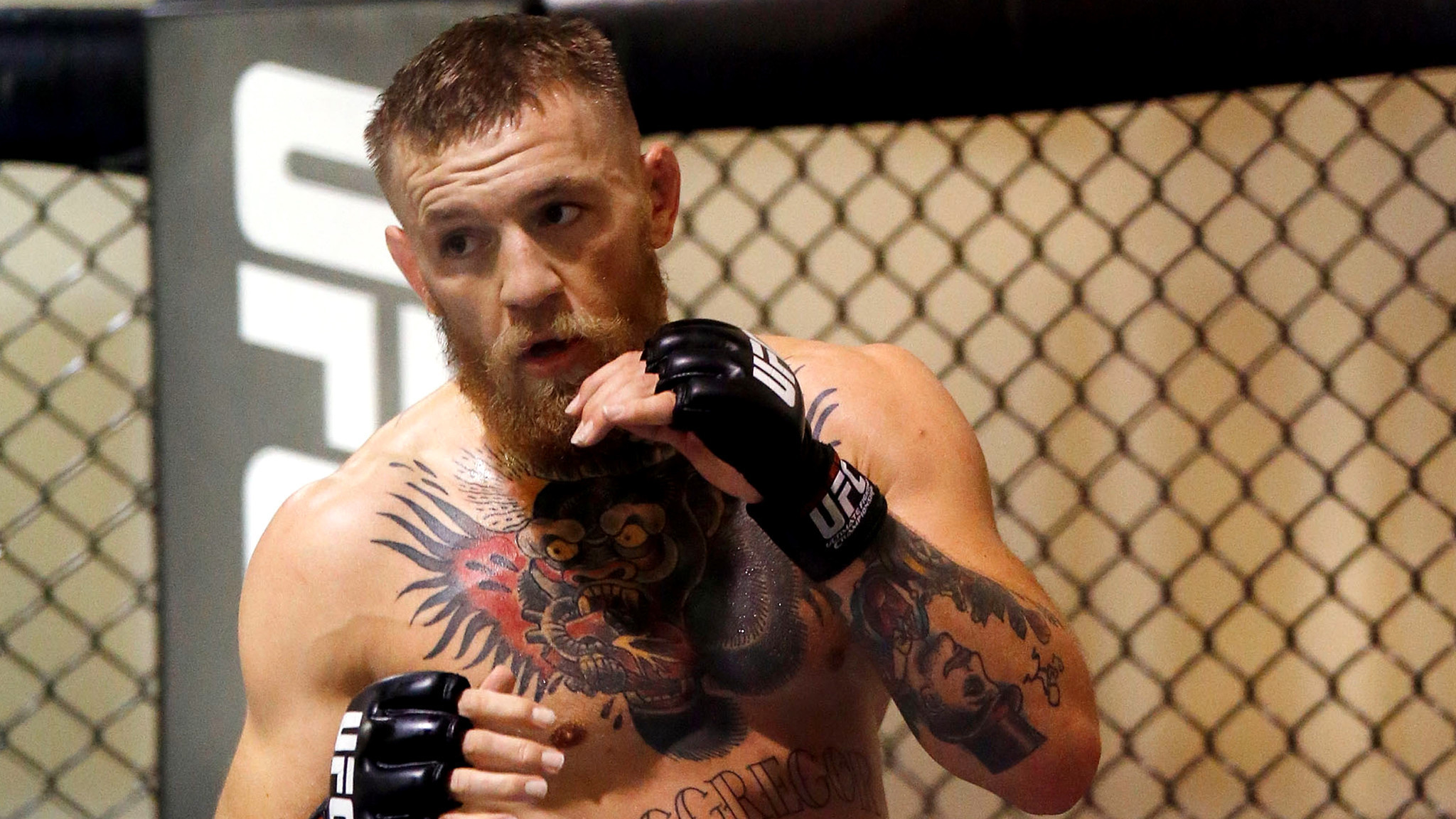 Detail Conor Mcgregor Background Nomer 39