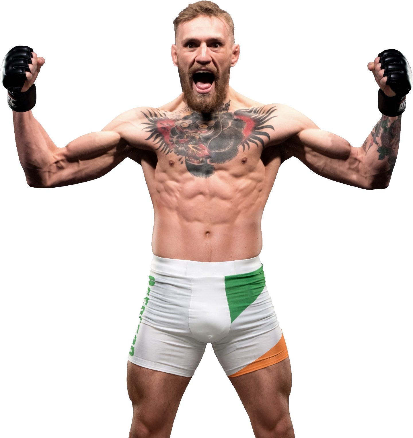 Detail Conor Mcgregor Background Nomer 41