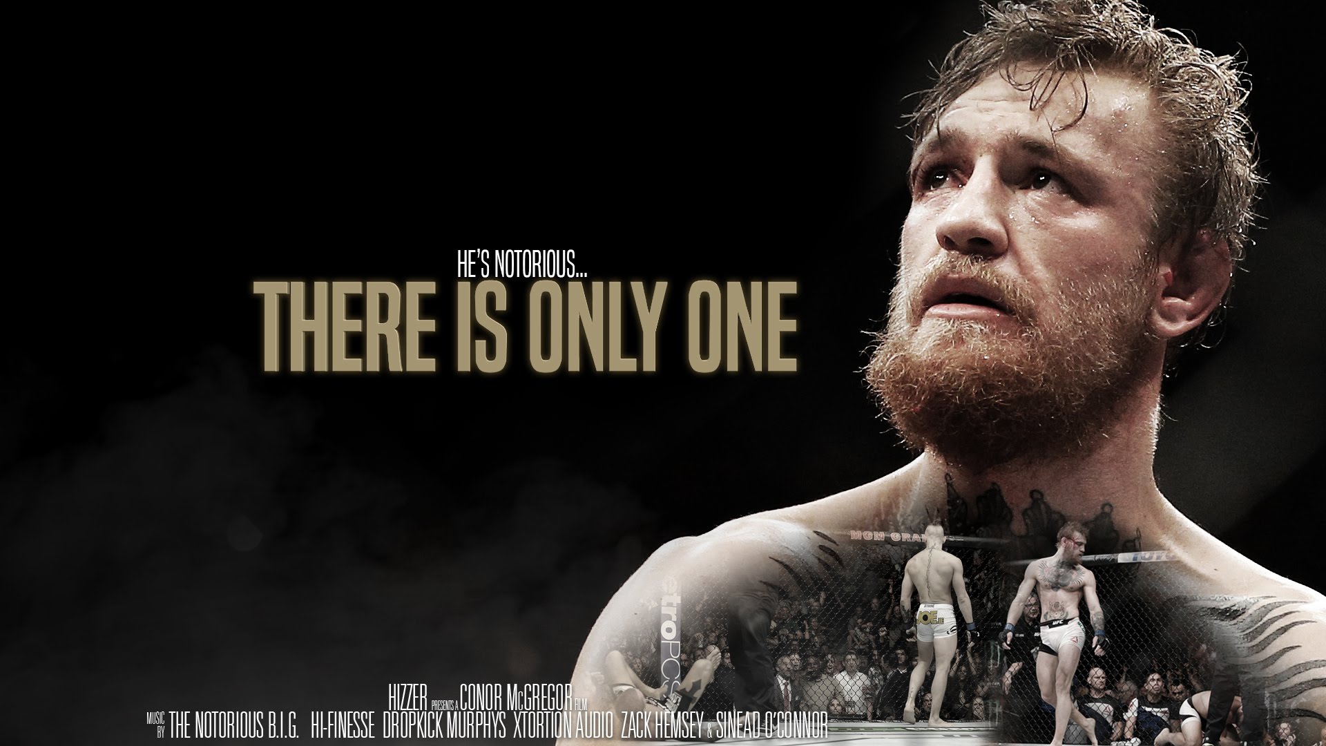 Detail Conor Mcgregor Background Nomer 44