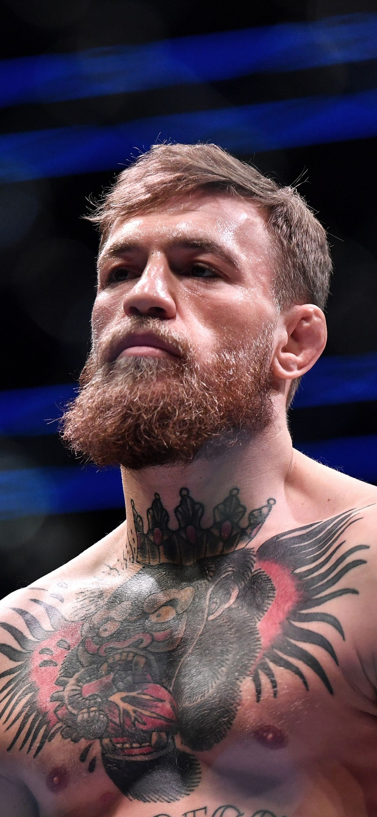Detail Conor Mcgregor Background Nomer 51