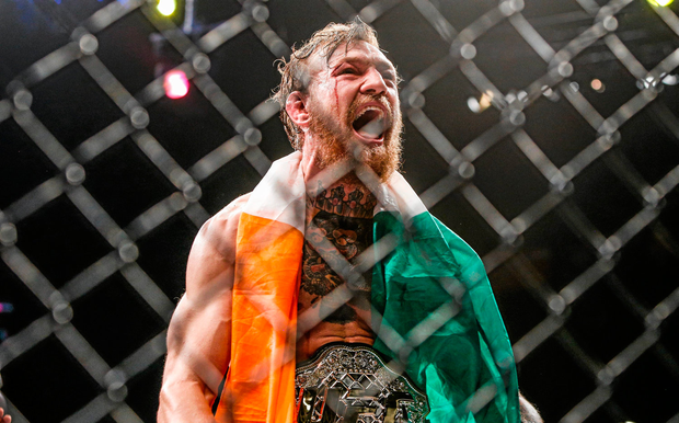 Detail Conor Mcgregor Best Pictures Nomer 13