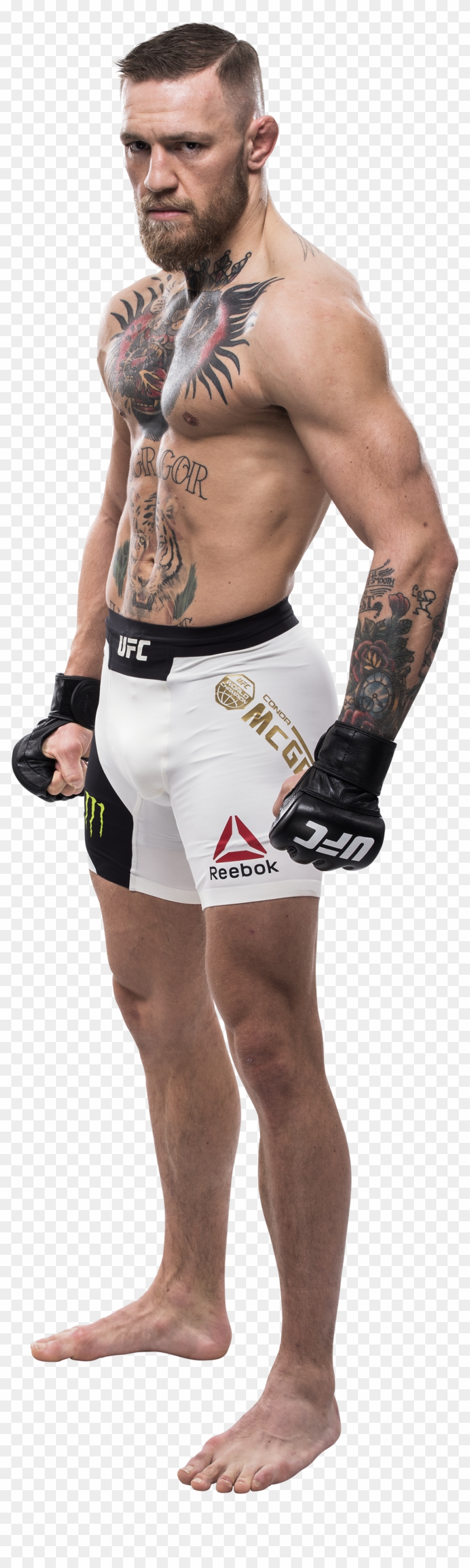 Detail Conor Mcgregor Face Png Koleksi Nomer 45