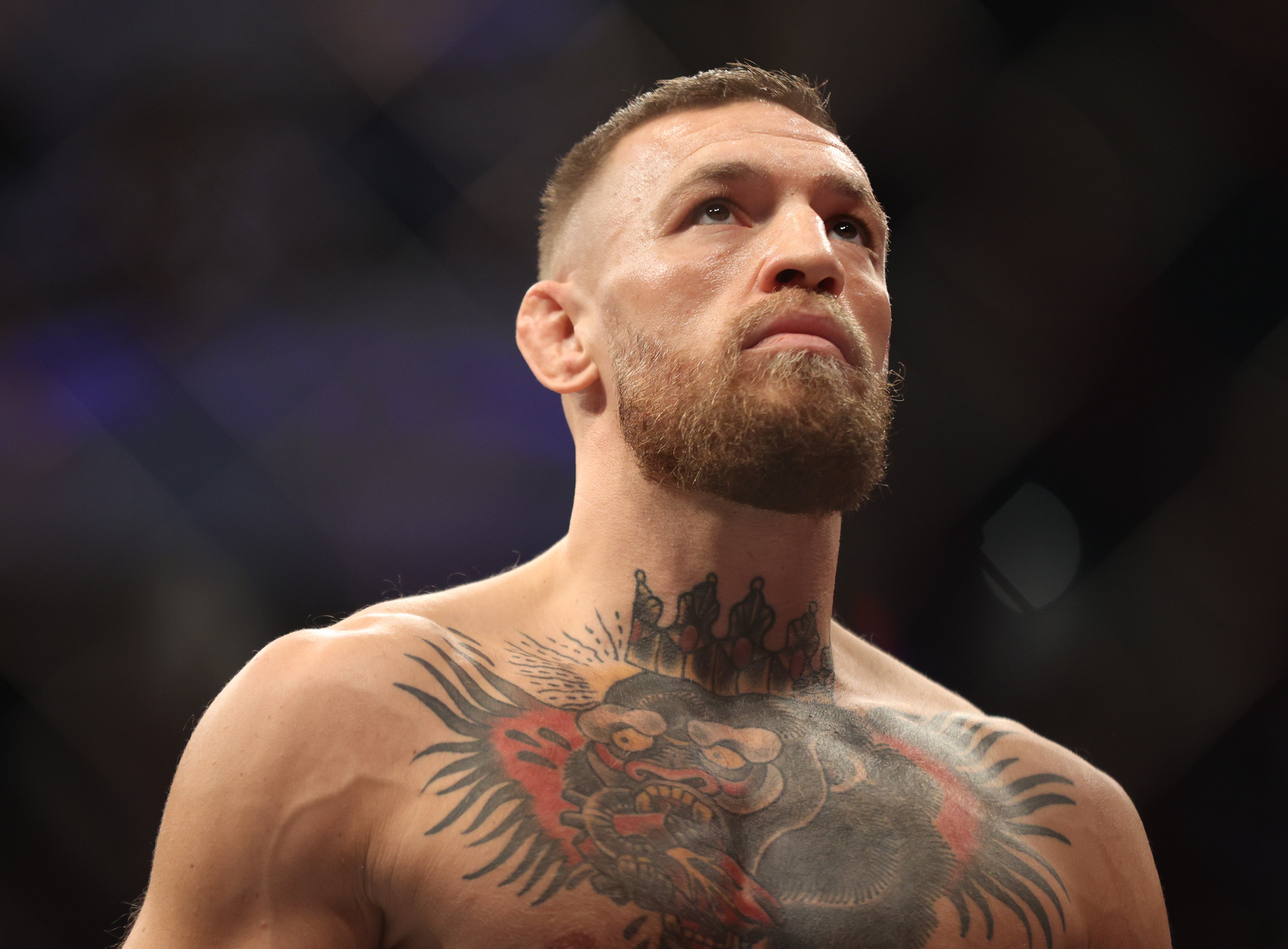 Detail Conor Mcgregor Images Nomer 12