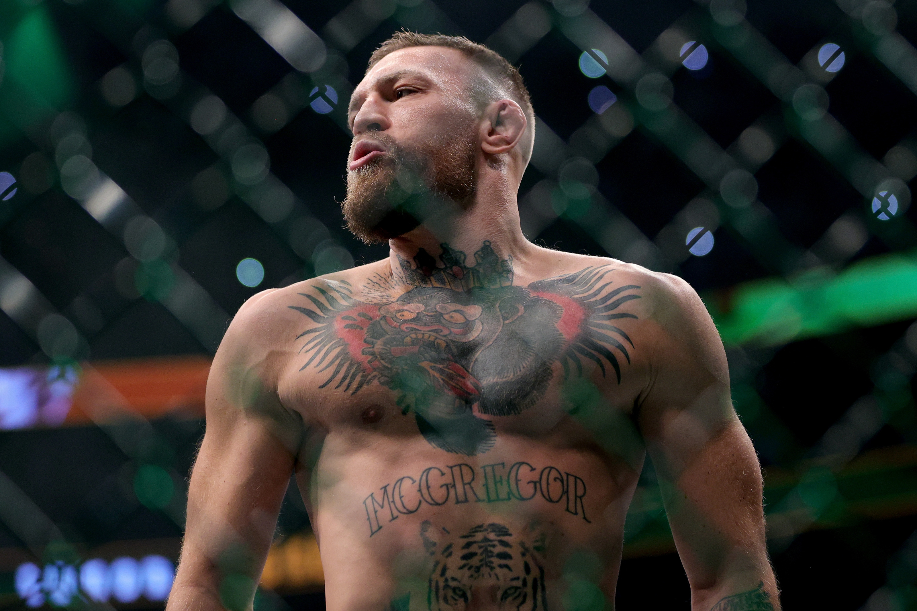 Detail Conor Mcgregor Pics Nomer 48