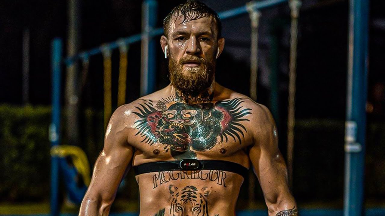 Detail Conor Mcgregor Picture Nomer 42