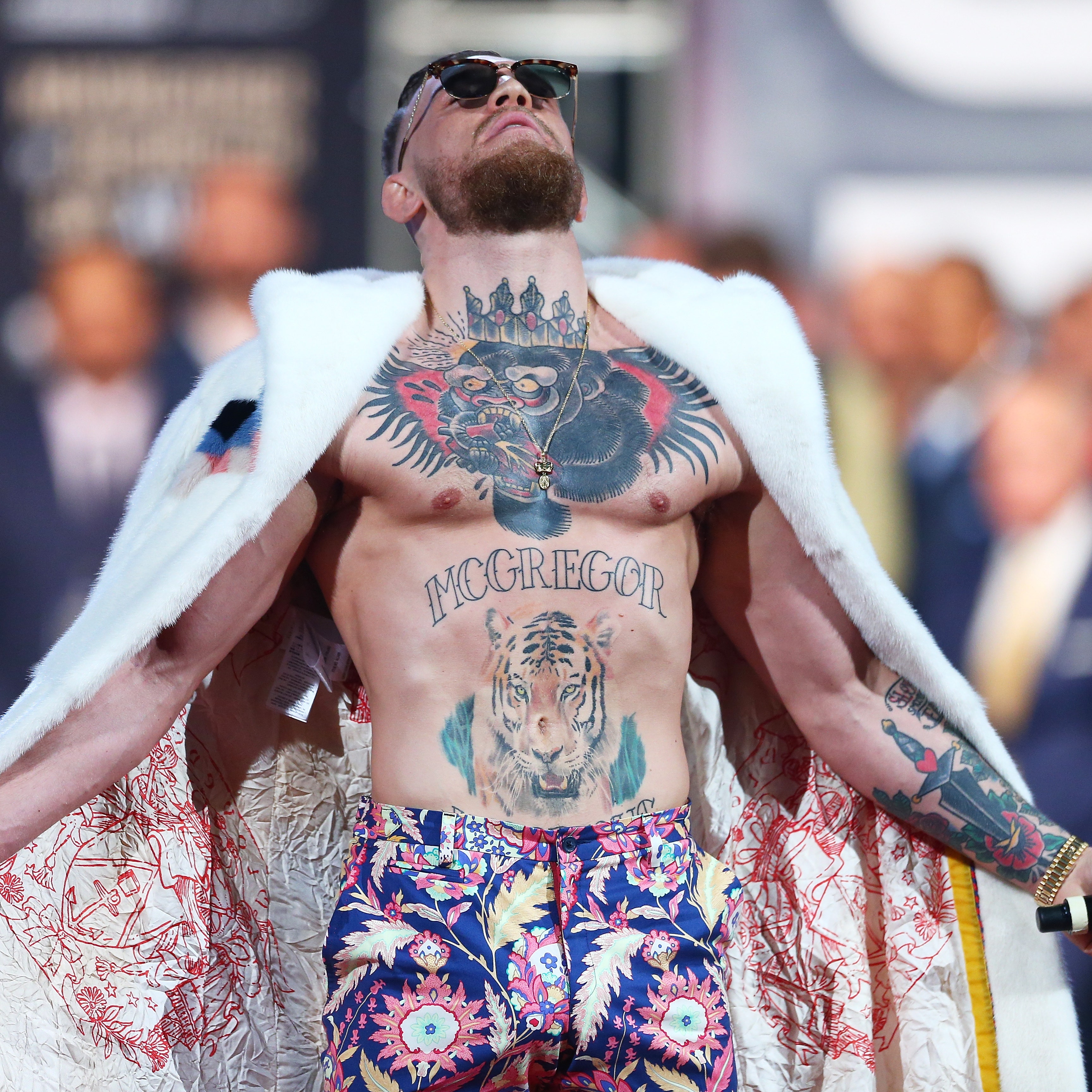 Detail Conor Mcgregor Polar Bear Nomer 2