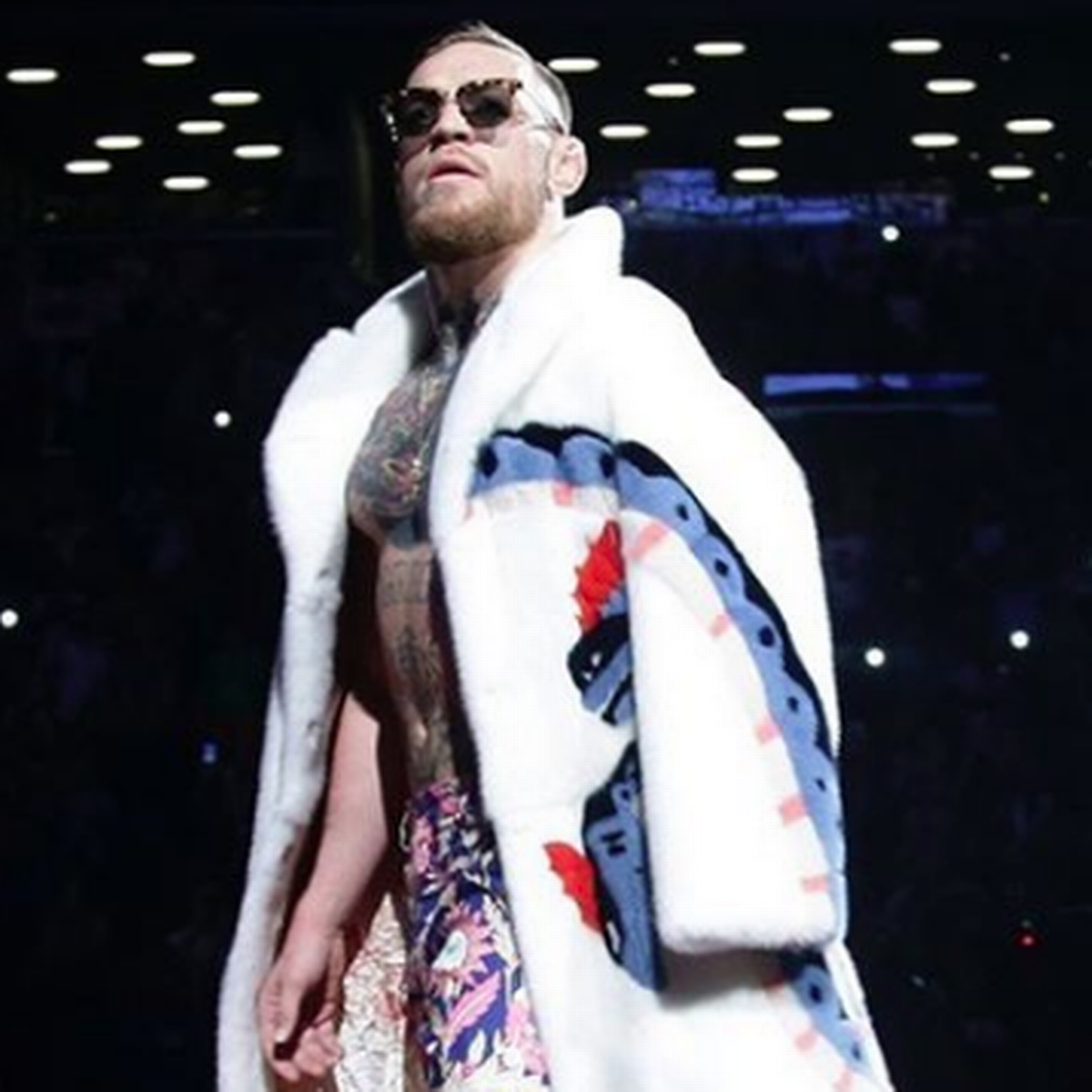 Detail Conor Mcgregor Polar Bear Nomer 20