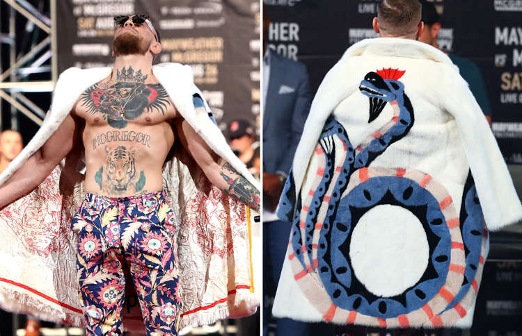 Detail Conor Mcgregor Polar Bear Nomer 45