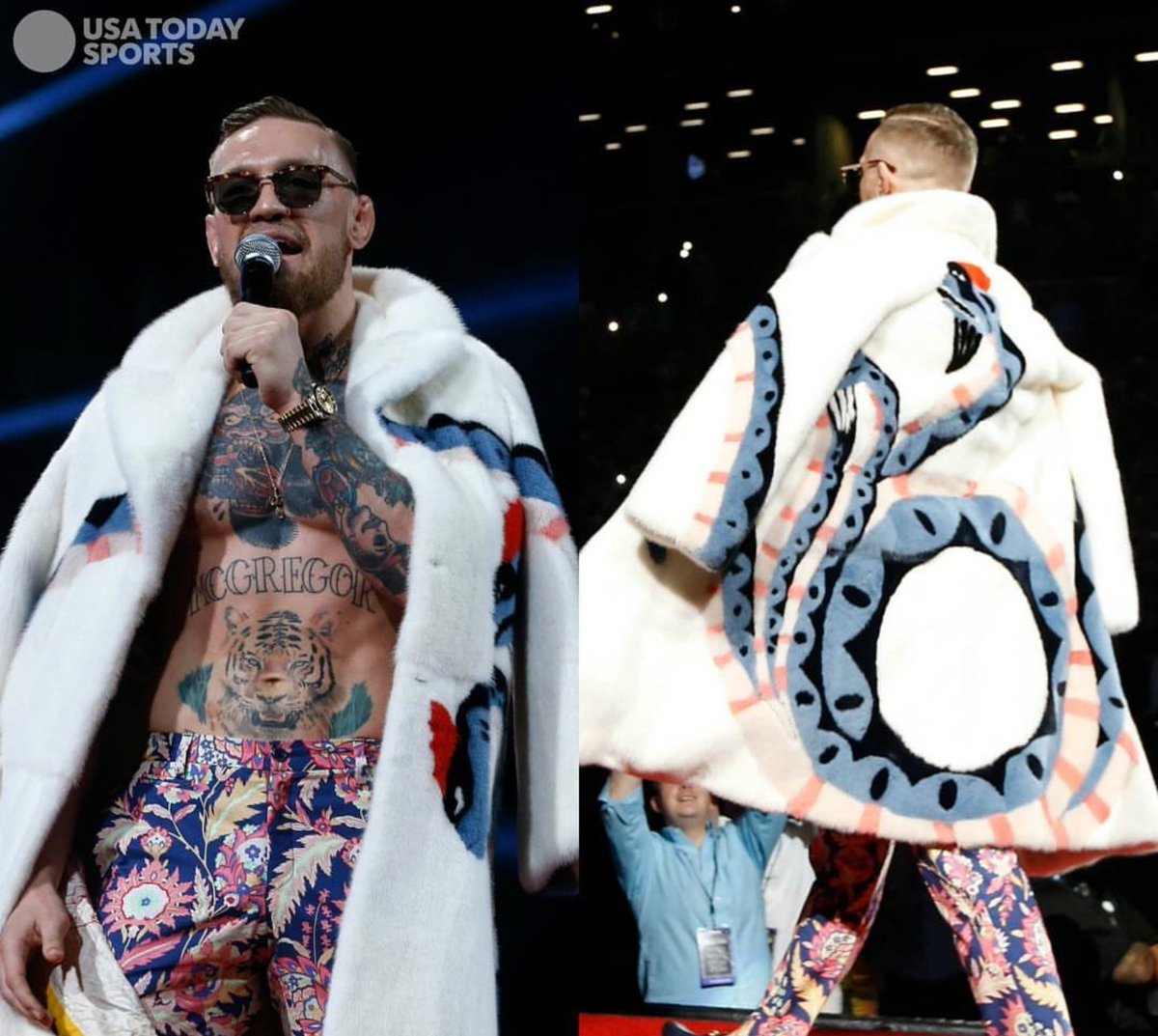 Detail Conor Mcgregor Polar Bear Nomer 7