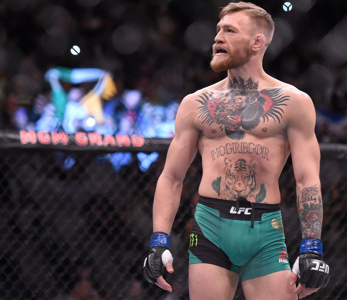 Detail Conor Mcgregor Snapchat Name Nomer 17