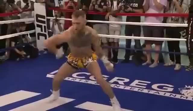 Conor Mcgregor Spaghetti Arms - KibrisPDR