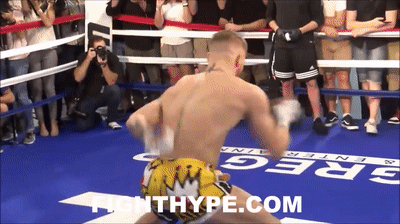 Detail Conor Mcgregor Spaghetti Arms Nomer 16