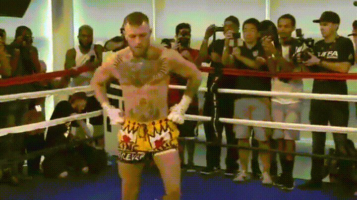 Detail Conor Mcgregor Spaghetti Arms Nomer 3
