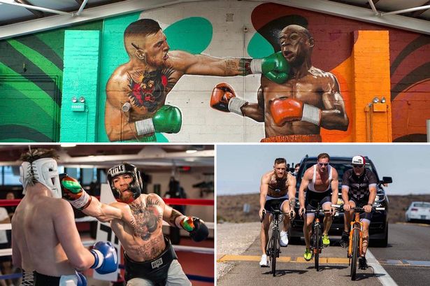 Detail Conor Mcgregor Spaghetti Arms Nomer 41