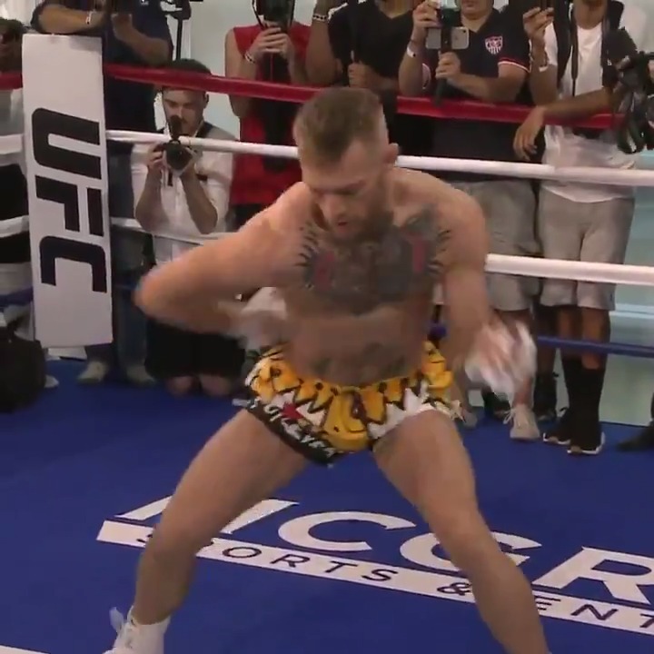 Detail Conor Mcgregor Spaghetti Arms Nomer 10