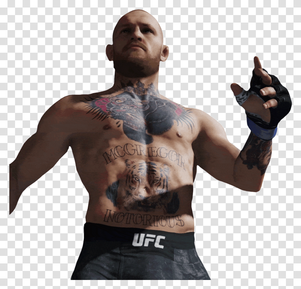 Detail Conor Mcgregor Transparent Nomer 33