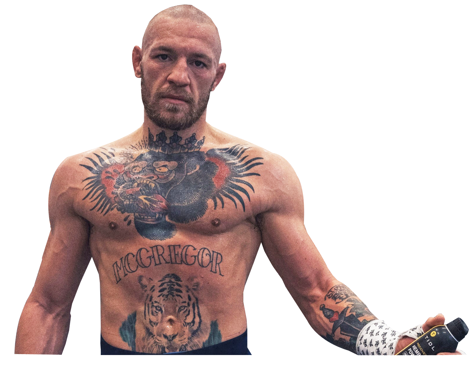 Detail Conor Mcgregor Transparent Nomer 52