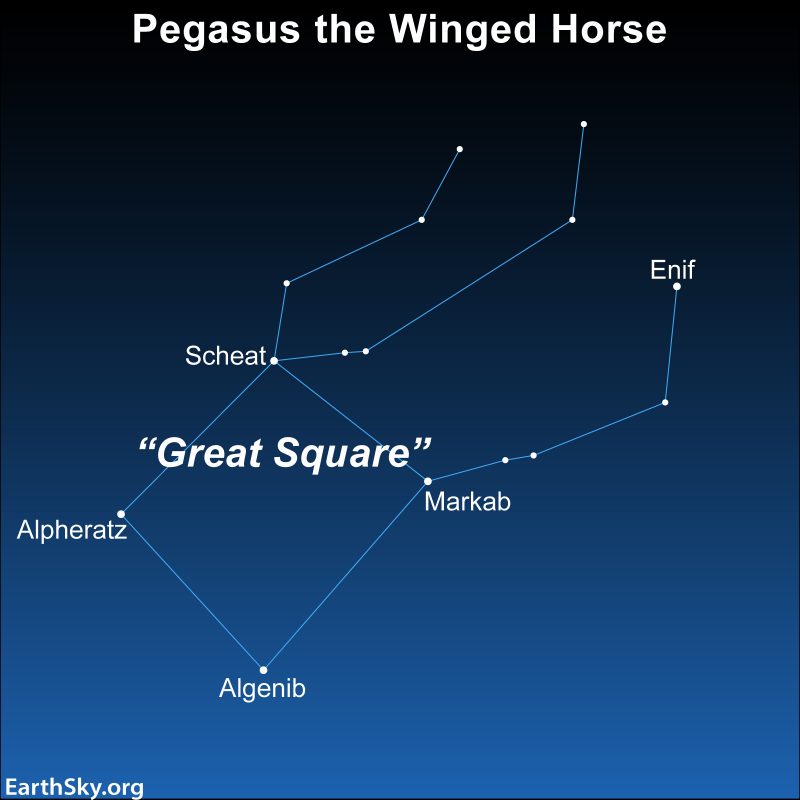 Detail Constellation Pegasus Images Nomer 2