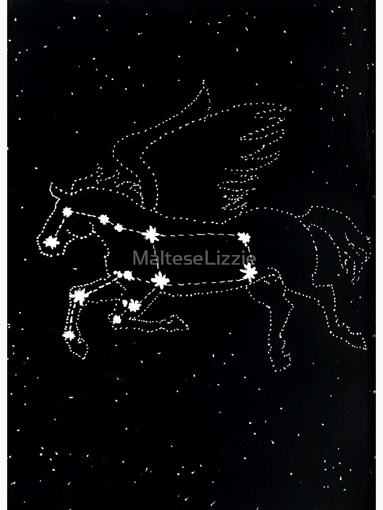 Detail Constellation Pegasus Images Nomer 46