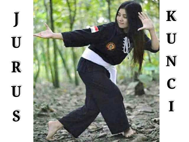 Detail Contoh 36 Jurus Psht Nomer 12