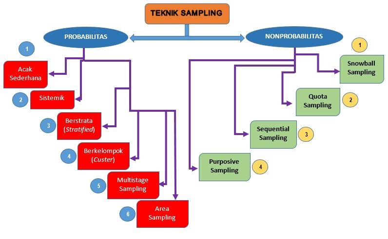 Detail Contoh Accidental Sampling Nomer 47