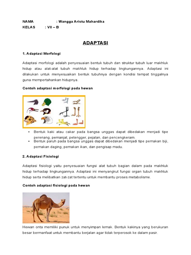 Detail Contoh Adaptasi Hewan Nomer 43