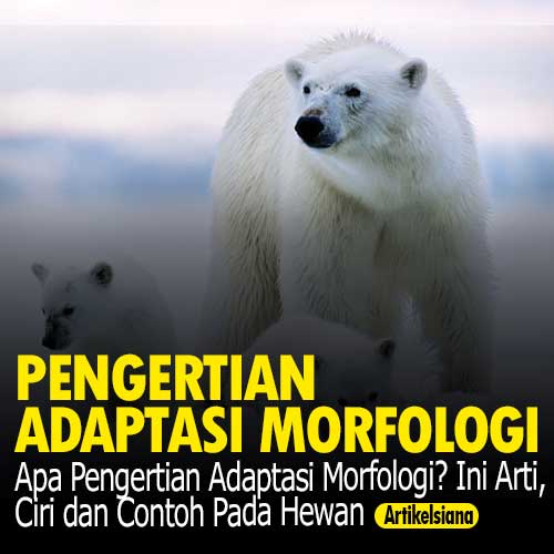 Detail Contoh Adaptasi Morfologi Nomer 34