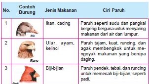 Detail Contoh Adaptasi Morfologi Pada Hewan Nomer 37