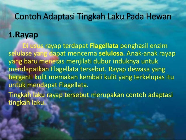 Detail Contoh Adaptasi Tingkah Laku Nomer 29