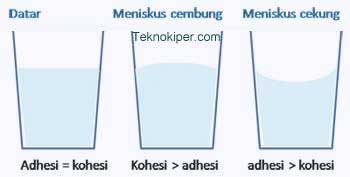 Detail Contoh Adhesi Dan Kohesi Nomer 23