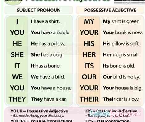 Detail Contoh Adjective Pronoun Nomer 13