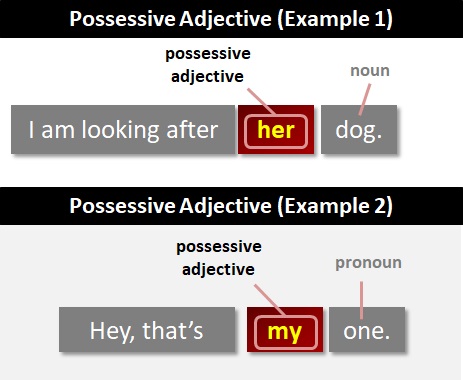 Detail Contoh Adjective Pronoun Nomer 17