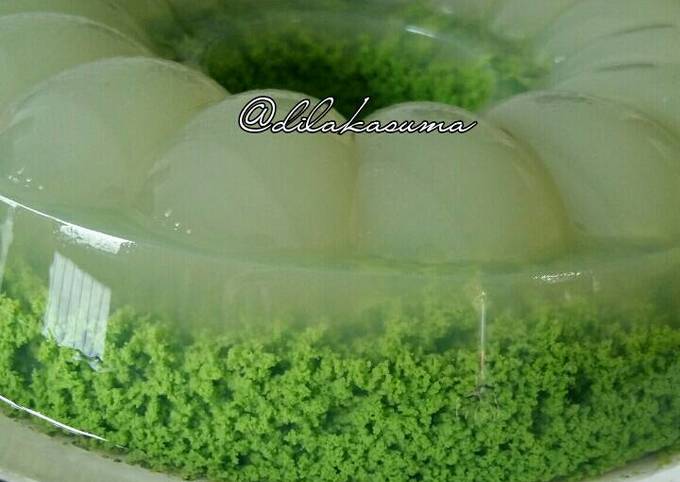 Detail Contoh Agar Agar Plain Nomer 39