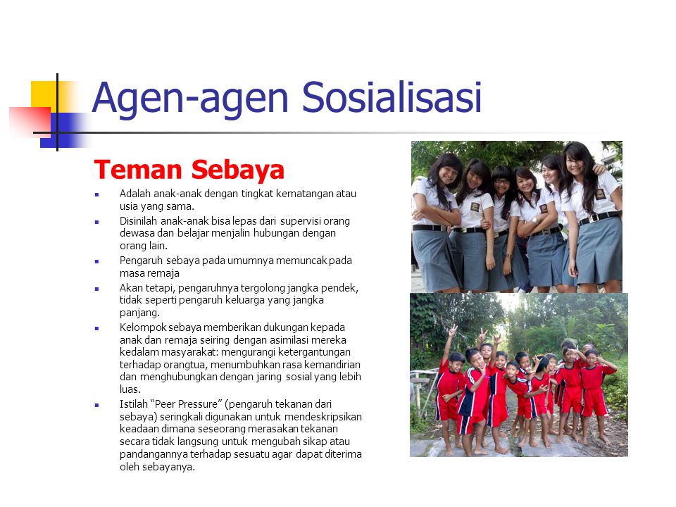 Detail Contoh Agen Sosialisasi Nomer 23