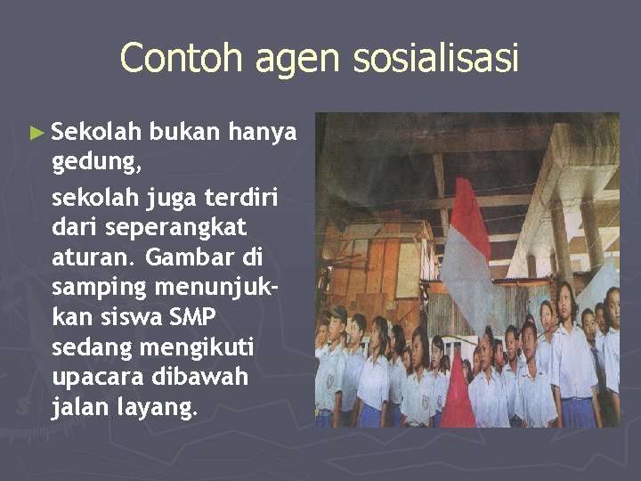 Detail Contoh Agen Sosialisasi Nomer 52