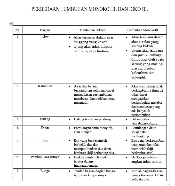 Detail Contoh Akar Monokotil Nomer 32