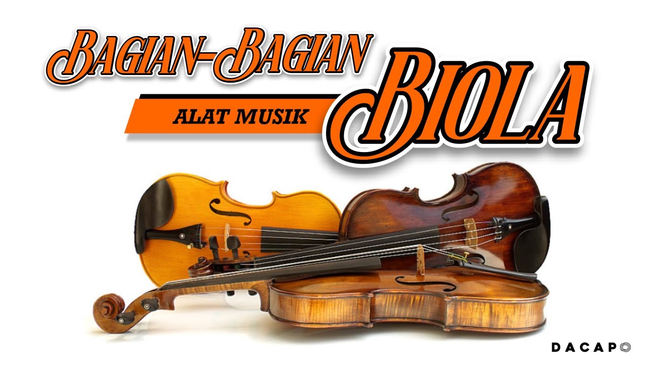 Detail Contoh Alat Musik Biola Nomer 52