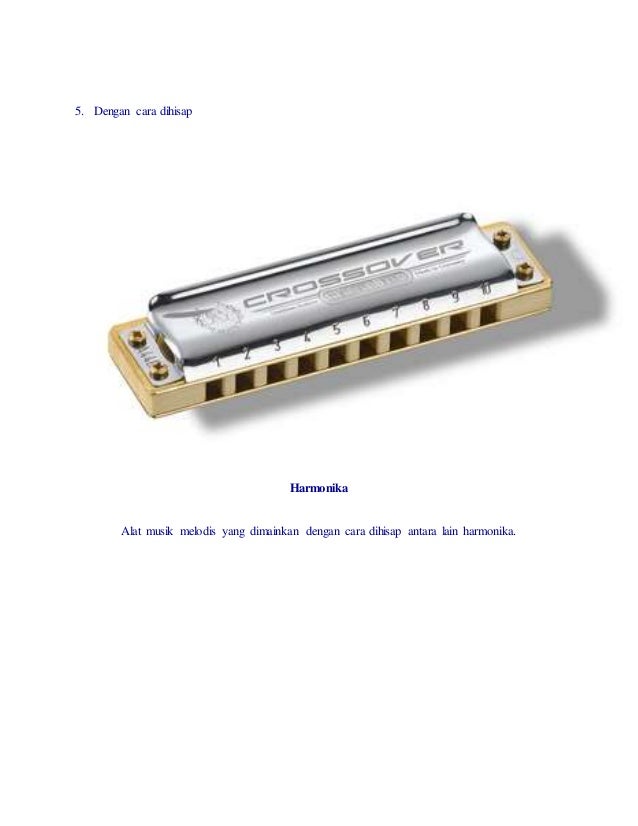 Detail Contoh Alat Musik Harmonika Nomer 28