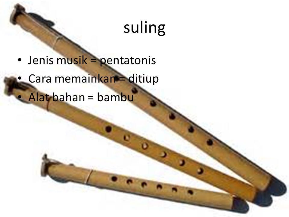 Detail Contoh Alat Musik Pentatonis Nomer 8