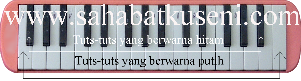 Detail Contoh Alat Musik Pianika Nomer 43