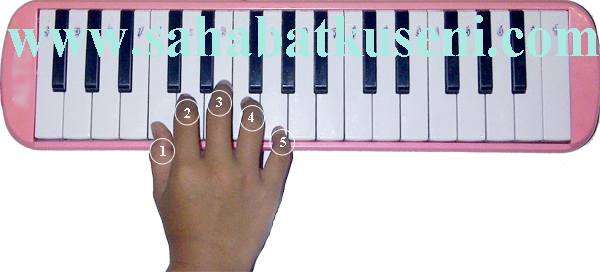 Detail Contoh Alat Musik Pianika Nomer 48