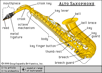 Detail Contoh Alat Musik Saxophone Nomer 52