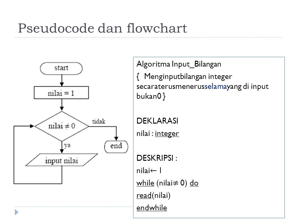 Detail Contoh Algoritma Pengulangan Nomer 22