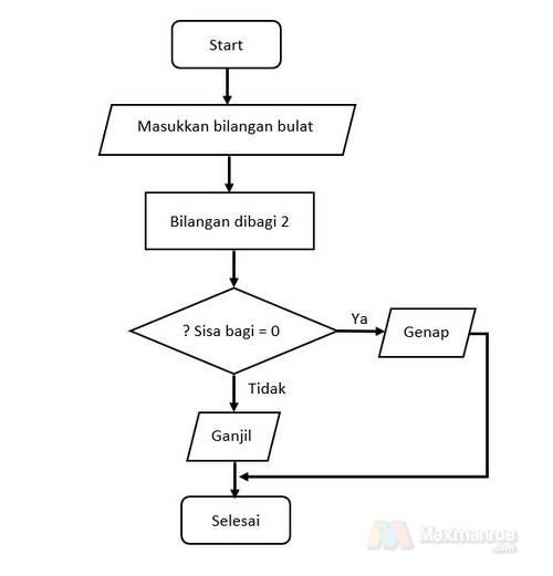 Detail Contoh Algoritma Perulangan Nomer 14