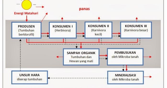 Detail Contoh Aliran Energi Nomer 20