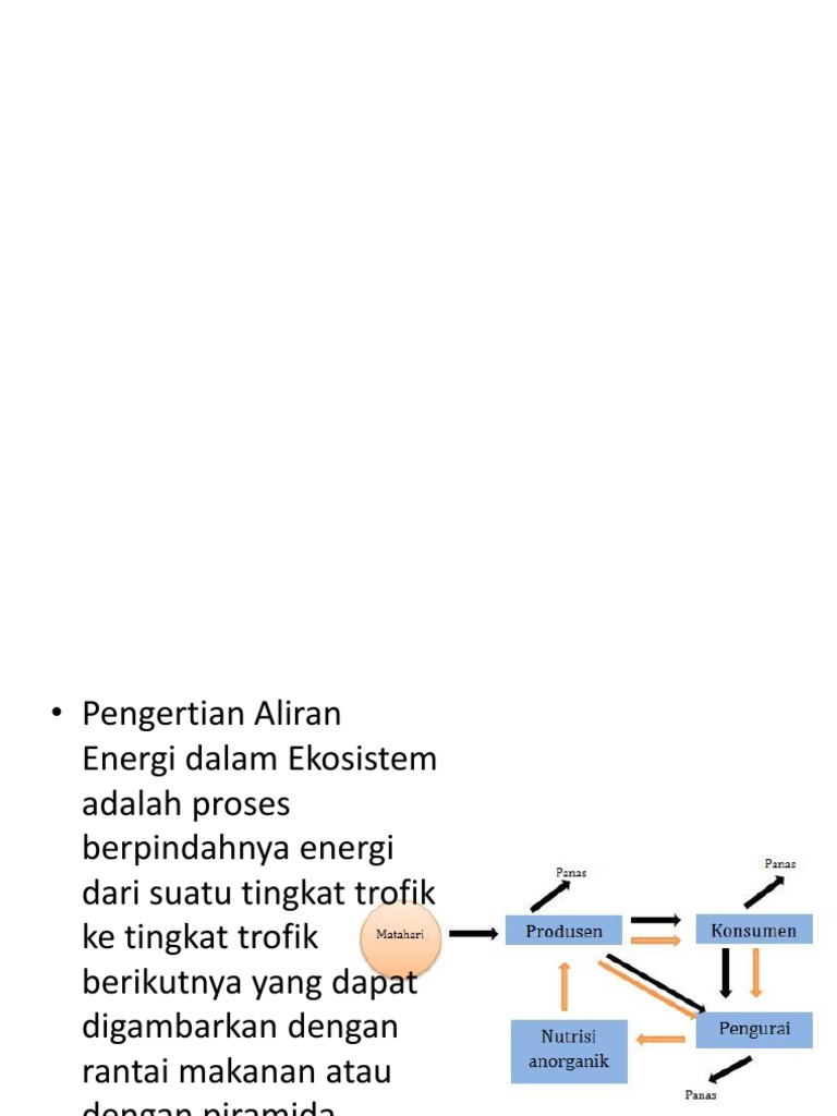 Detail Contoh Aliran Energi Nomer 40