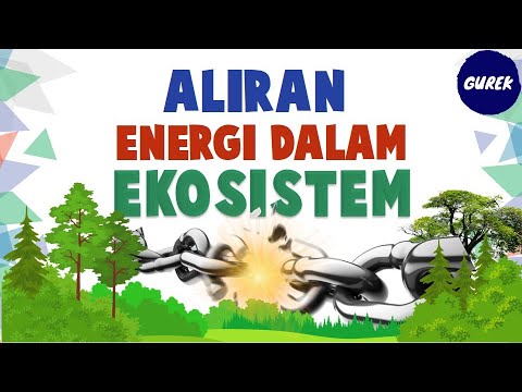 Detail Contoh Aliran Energi Nomer 42