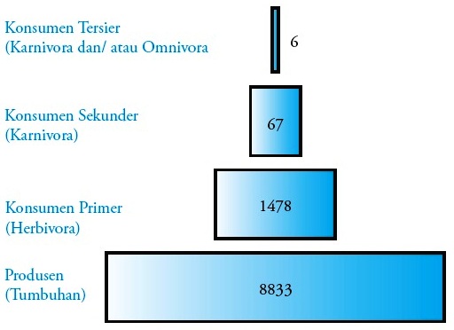 Detail Contoh Aliran Energi Nomer 50